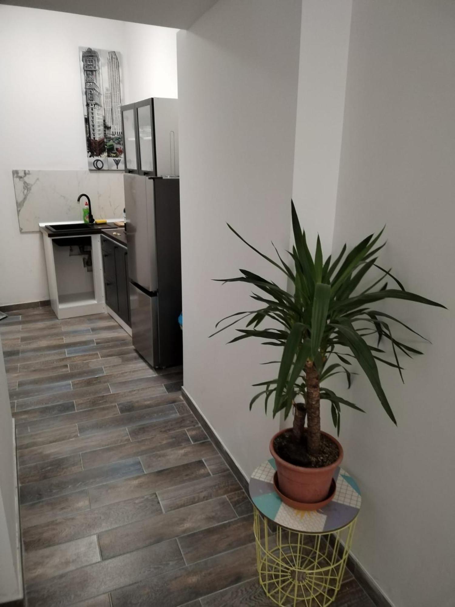 Ferienwohnung Garden In The Center Split Zimmer foto